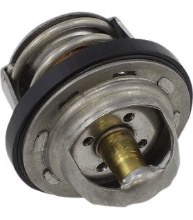 THERMOSTAT POLARIS