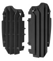 PROTECTION DE RADIATEUR KXF250 13-16 BK