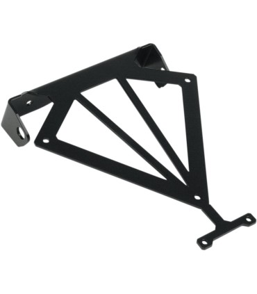 LICENSE PLT HOLDR MSH308