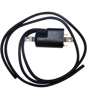 COIL IGNITION SEA DOO