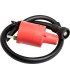 COIL IGNITION HONDA ATV MOOSE