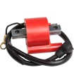 BOBINE D'ALLUMAGE YAMAHA VTT MOOSE