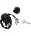 IGNITION SWITCH POL MSE