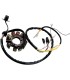 STATOR MUD POLARIS
