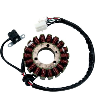 STATOR MUD KAWI HI OUT