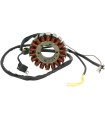 STATOR MUD POLARIS