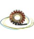 STATOR MUD HONDA