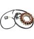 STATOR MUD ARCTIC CAT