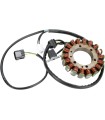 STATOR MUD ARCTIC CAT