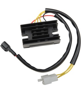 REG/REC MSE RAC DRZ400