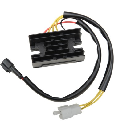 REG/REC MSE RAC DRZ400