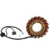 STATOR MUD ARCTIC CAT