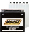 BATTERIE MUD YTX14AH-BS
