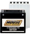 BATTERY MUD YTZ10S-BS