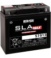 BATTERIE BS 51913