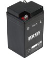 BATTERIE BS B49-6