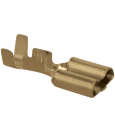 TERMINAL 250/250L F 50PK