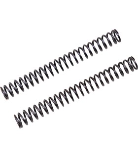 FF SPRING KIT-FKC101/25MM LOWE