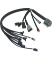 HARNESS EFI 04-05 FLH/FLT