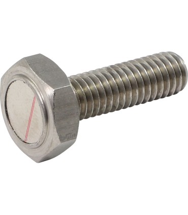 SENS BLT M6XP 1.1X19.7L 2PK