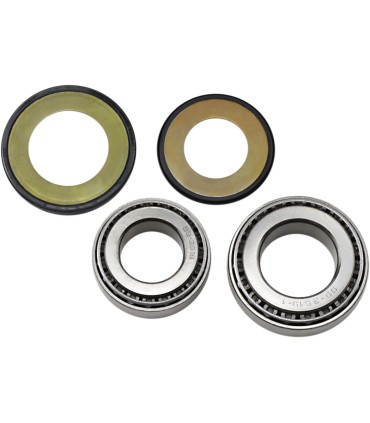 ALL BALLS STRG STEM BRGS