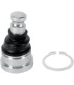 BALL JOINT LWR POL