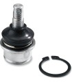 BALL JOINT LWR CANAM