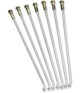 SPOKE INDIVIDUAL 21