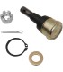 BALL JOINT LWR POL