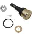 BALL JOINT LWR POL