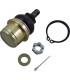 BALL JOINT UPPER CF MOTO