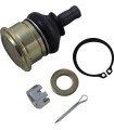 BALL JOINT LOWER CF MOTO