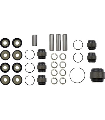 SUSPENSION KIT RR ARC CAT