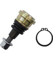BALL JOINT UPPR/LWR POL