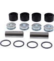 A-ARM BEARING & SEAL KIT