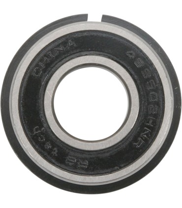 BEARING W/SNAP RING