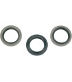 OIL SEAL KIT POLARIS