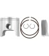 PISTON POL ATV300 1.0MM