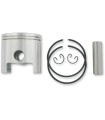 PISTON ASSY POLARIS STD