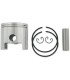 PISTON ASSY POLARIS +020