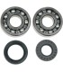 BEARINGS SLS CRNK YZ125