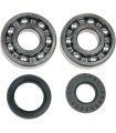 BEARINGS SLS CRNK YZ125