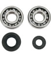 BEARINGS SLS CRNK YZ250