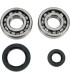BEARINGS SLS CRNK CR250