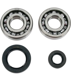 BEARINGS SLS CRNK CR250