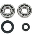 BEARINGS SLS CRNK CR250