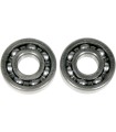 ROULEMENTS DE VILEBREQUIN-XR/TRX