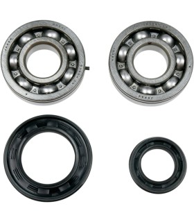 MSE CRNK BRG/SEALS YFZ