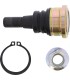 BALLJOINT LOWER POL RZR MSE