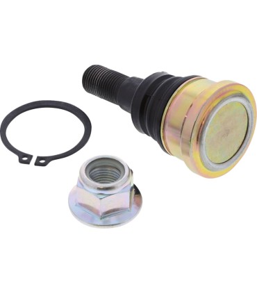 BALLJOINT LOWER POL RZR MSE